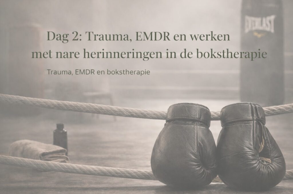 opleiding Dag 2 Trauma en boksen 