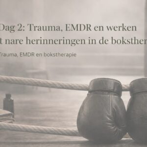 opleiding Dag 2 Trauma en boksen