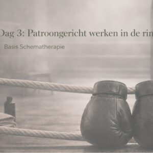 opleidings dag 3 schema therapie en boksen