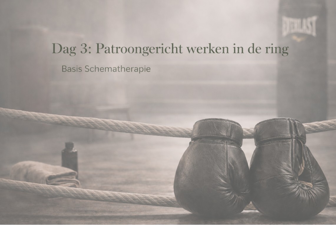 opleidings dag 3 schema therapie en boksen