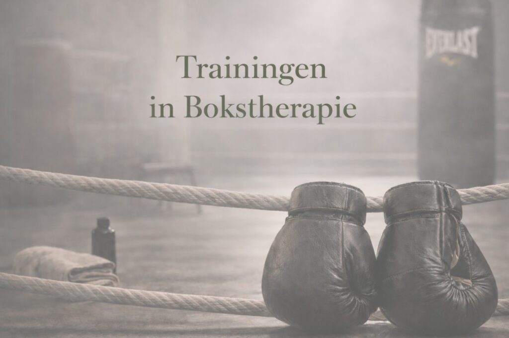 Trainingen in bokstherapie